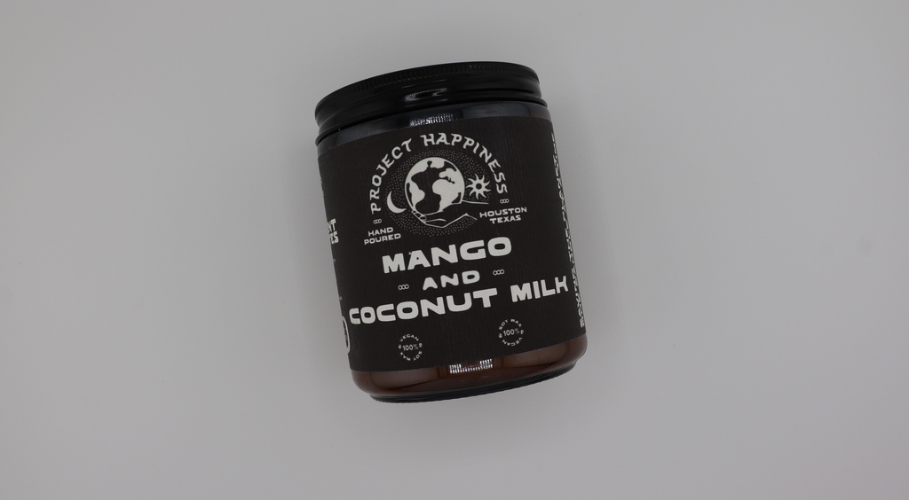 Mango and Coconut Milk